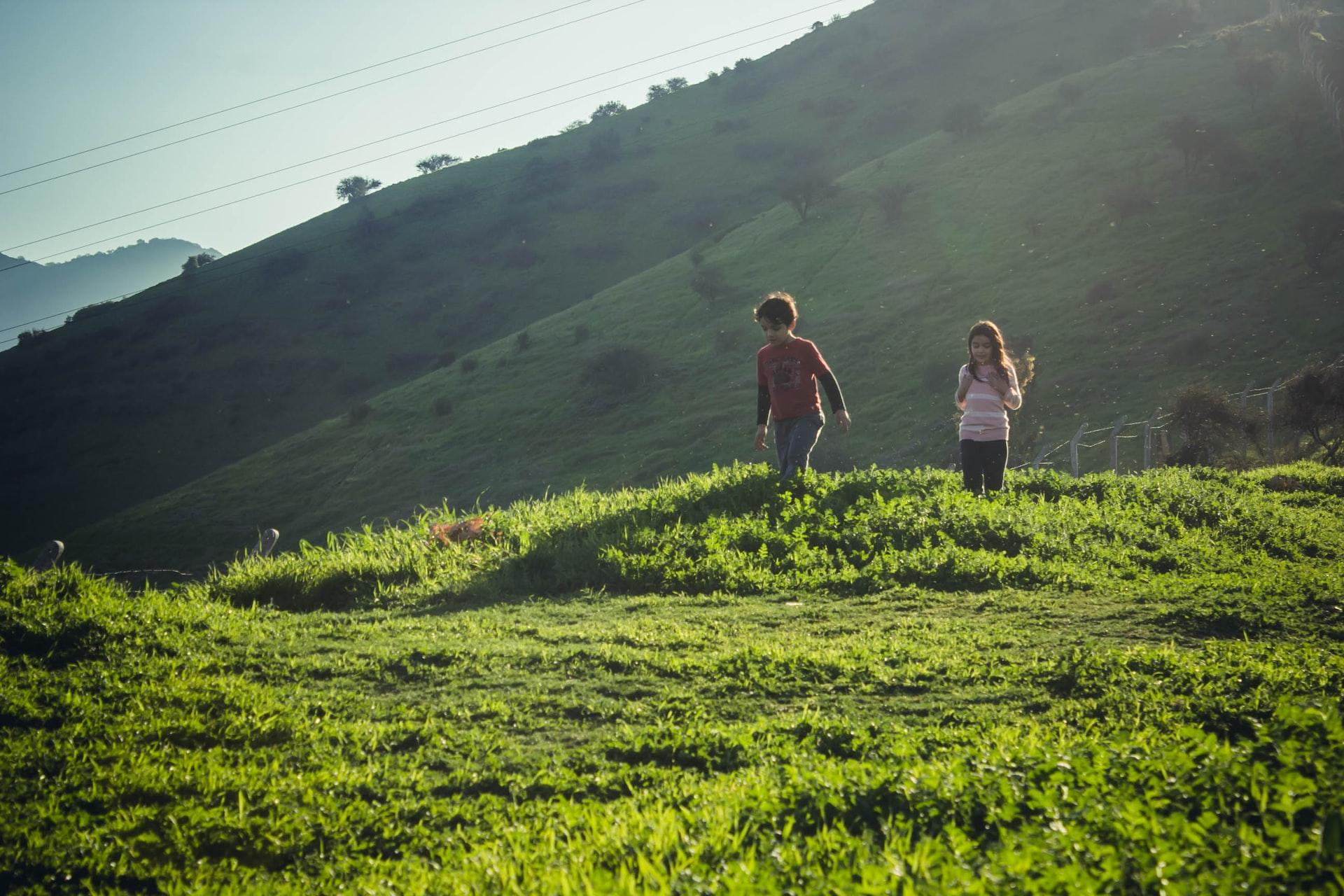 2 women walking on green grass field during daytime